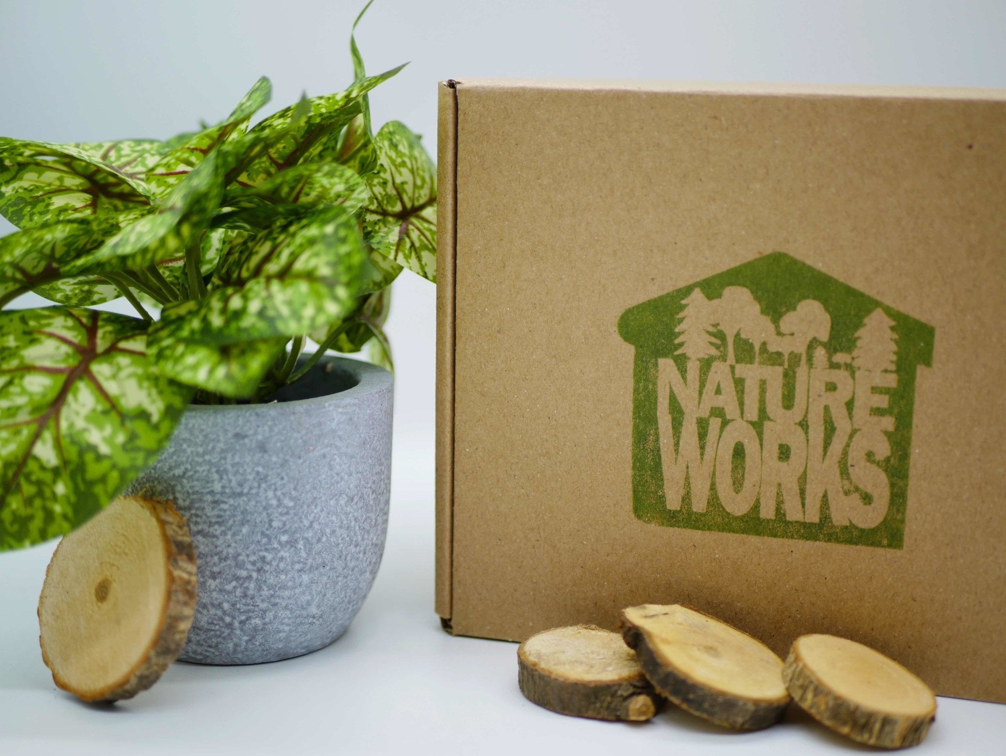 Cleaning Products Pack - Natureworks.store - Pack